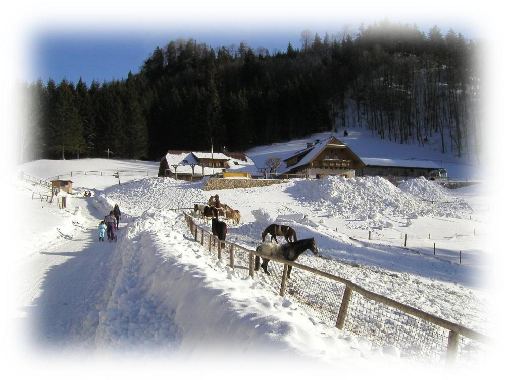 Hochsteinalm *