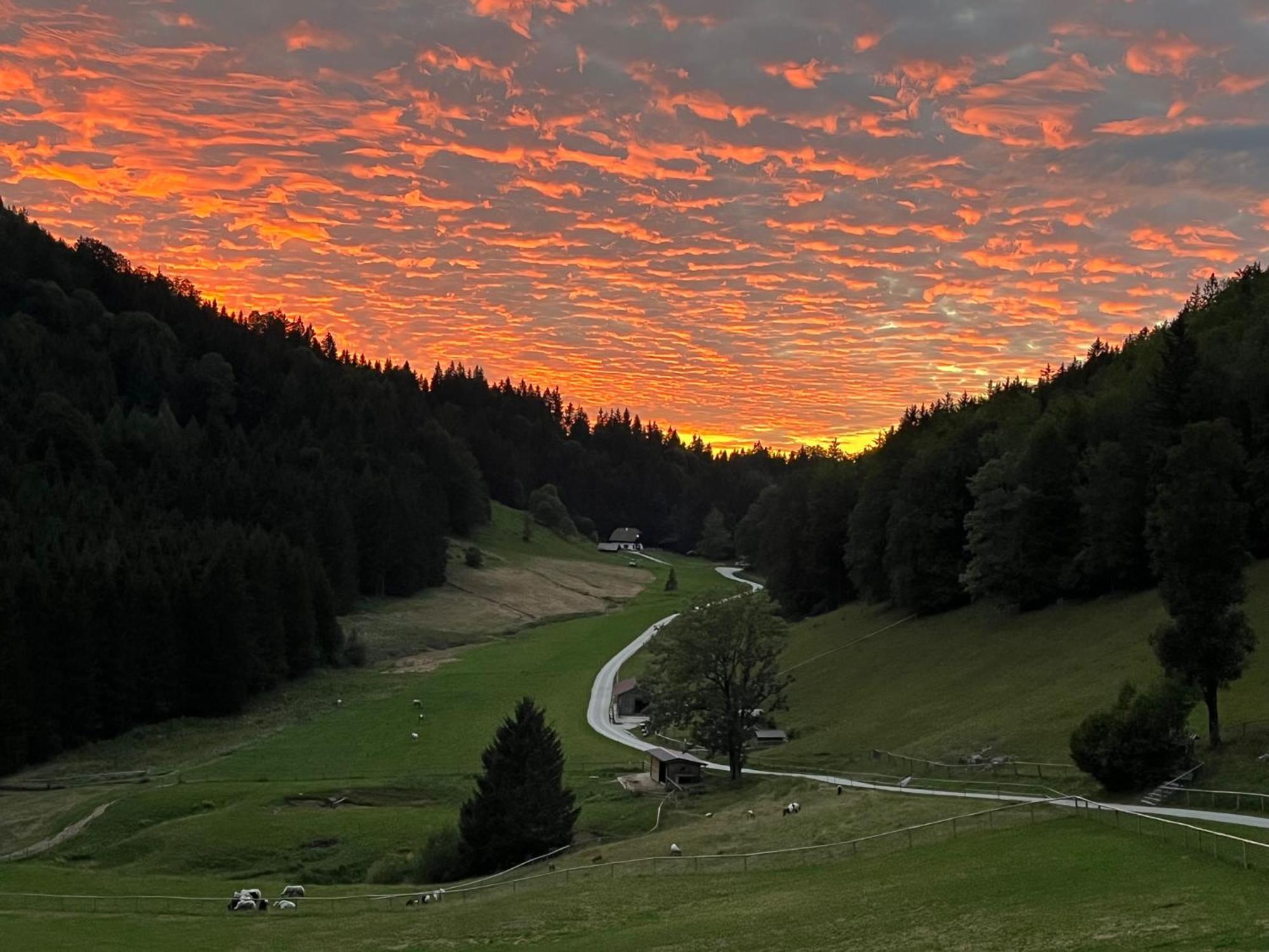 Hochsteinalm Traunkirchen